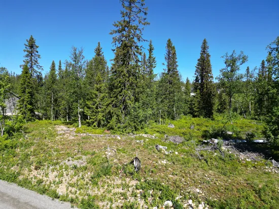 Tomt, Vemdalsskalet Övre Vemdalsporten 11, Vemdalsskalet, Härjedalen