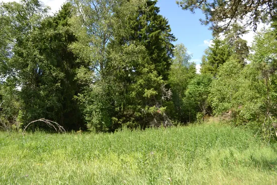 Tomt, Allemoravägen 11 D, Riala - Allemora, Norrtälje