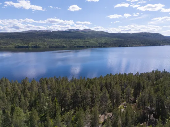 Tomt, Tomt vid Lofssjön, Härjedalen