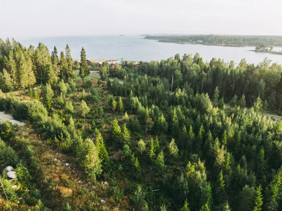 Tomt, Skellefteå blacke 2:26, Blackhamn, Skellefteå