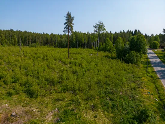 Tomt, Gummark 1:66, Gummark, Skellefteå
