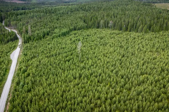 Gård/Skog, Bollnäs arbrå kyrkby 13:31, Arbrå, Bollnäs