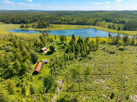 Gård/Skog, Botjärnen 6, Bjurtjärn, Storfors