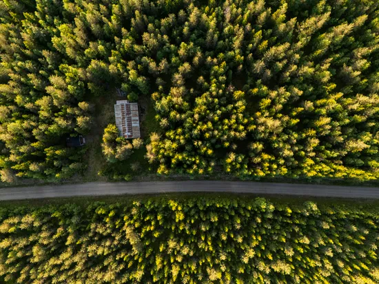 Gård/Skog, Västra högkulla 1:20 och 1:24, Västra Högkulla, Norsjö