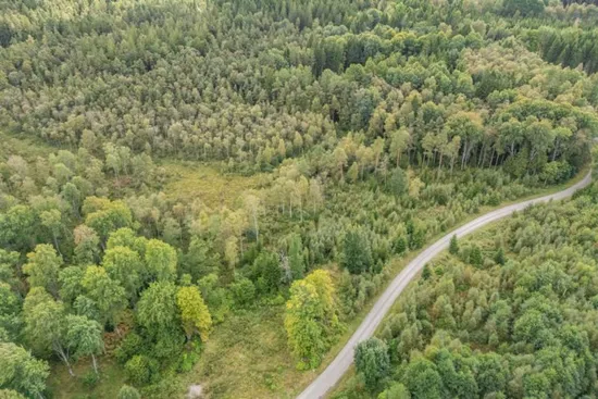 Gård/Skog, Hjortholmen 5184 och 5178, Vittsjö, Hässleholm
