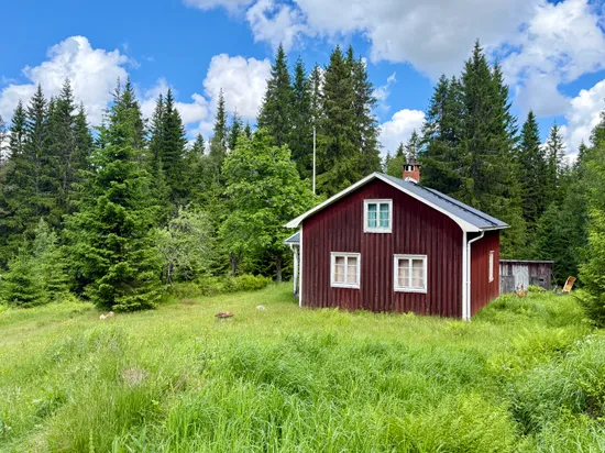 Gård/Skog, Ulvsjön 19, Torsby