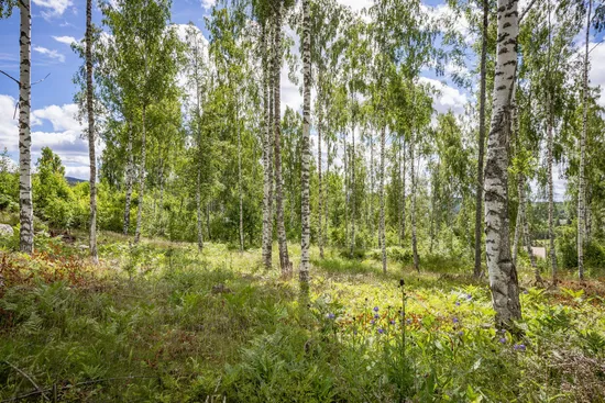 Tomt, Liljekonvaljbacken 3, Allsta, Sundsvall