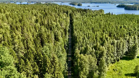 Gård/Skog, Bölesvik 1, hjoggböle, Skellefteå