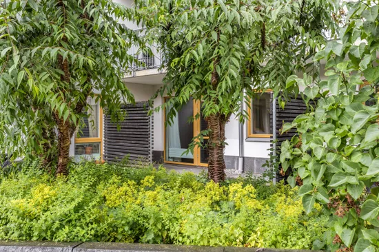 Bostadsrätt, Engelbrektsgatan 29, Vasastan/Centralt, Linköping