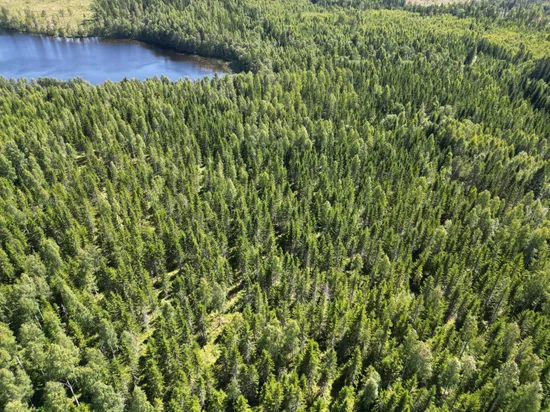 Gård/Skog, NORDANSTIG VÄSTERGRÄNGSJÖ 30:1, 7:2 och 5:10, Gnarp, Nordanstig