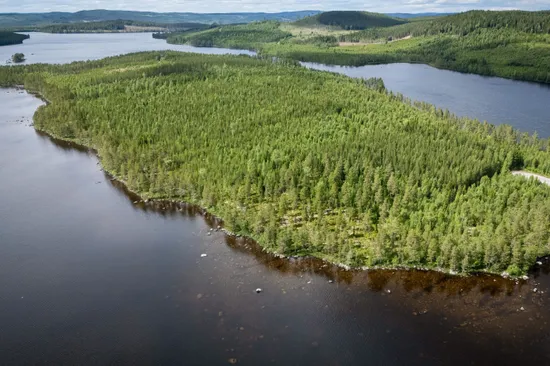 Gård/Skog, LJUSDAL FÖNE 7:9 och LJUSDAL FÖNE 11:7, Ljusdal