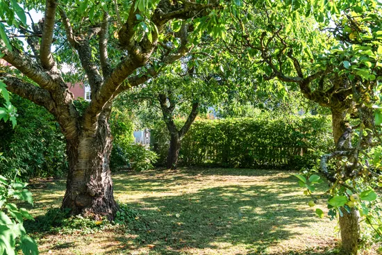 Fritidshus, Rådmansgatan 15 - kolonistuga nr 58 i koloniområdet Haga, Jutahusen, Lund