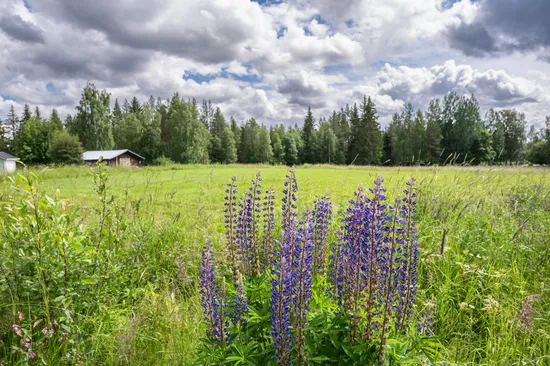 Tomt, Ånge ovansjö 1:442, Ånge
