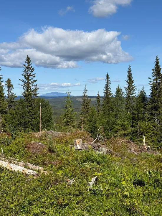 Tomt, Arvesund 2:205, Mårdsundsbodarna, Åre