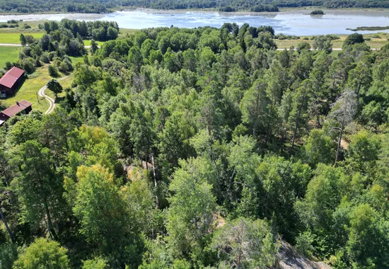 Tomt, Granens väg 2, Burvik, Uppsala