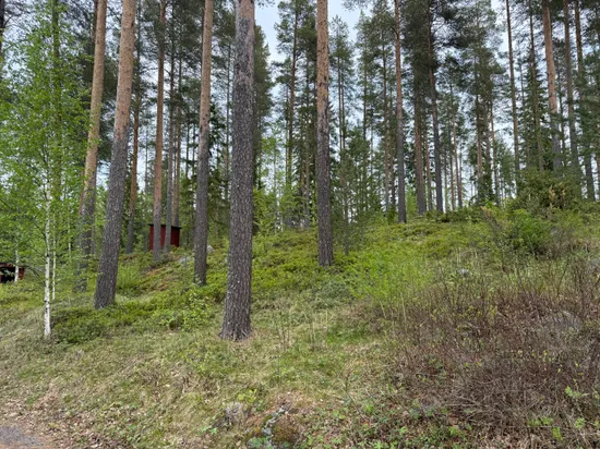 Tomt, Falkträsket 47, Falkträsket, Skellefteå