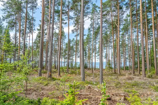Gård/Skog, efter Stumsnäs - Sjövägen, Leksand