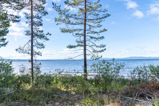 Gård/Skog, Stumsnäs - efter Sjövägen, Stumsnäs, Leksand