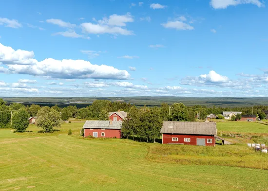 Gård/Skog, Gravbränna 220, Krokom