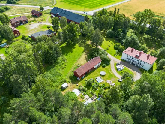 Gård/Skog, Offer 503, Sollefteå