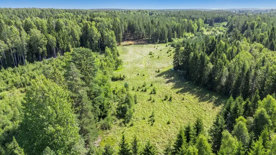 Tomt, Holmskog, Uppsala