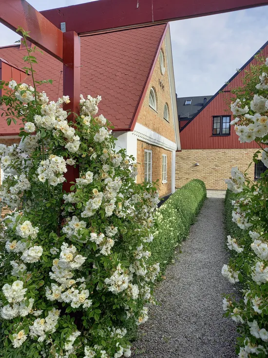 Bostadsrätt, Nöbbelövs kyrkoväg 10A, Nöbbelöv , Lund