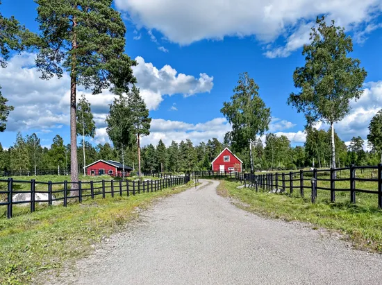 Gård/Skog, Julmyra 337, Heby
