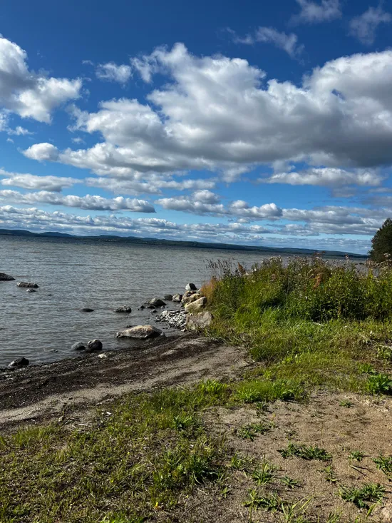 Gård/Skog, Timrå skäggsta 1:2, Timrå