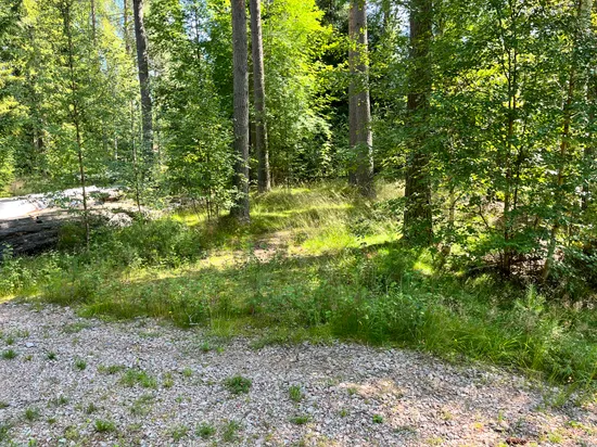Tomt, Äbbsäl, Ryssa, Mora