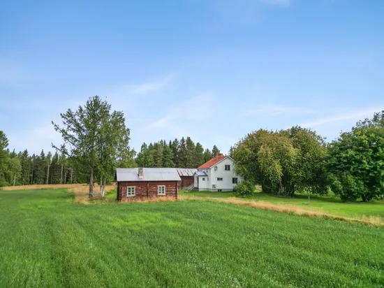 Gård/Skog, Vemdalsvägen 3, Vemhån, Härjedalen