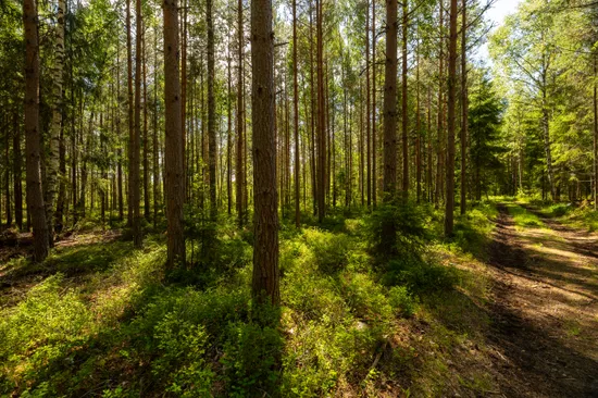 Tomt, Bråne/Bofasterud, Karlstad