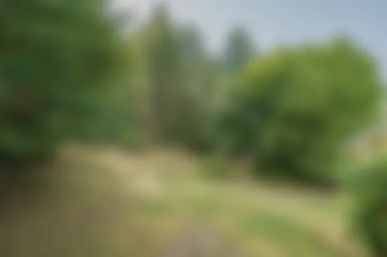 Tomt, Adressen är dold tillsvidare, Törnskogen, Sollentuna