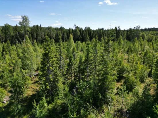 Gård/Skog, Nordanstig västergrängsjö 3:6, Gnarp, Nordanstig
