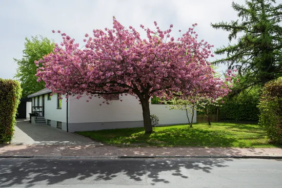 Villa, Östanväg 96, Limhamn, Malmö