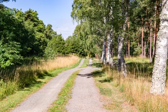 Tomt, Hagestad 3:4, Hagestad, Ystad