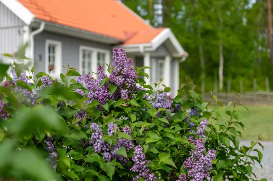 Villa, Dragontorpsvägen 3, Norrtälje
