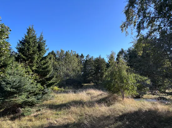 Tomt, Östra kustvägen 1378 B, Sandhammaren, Ystad