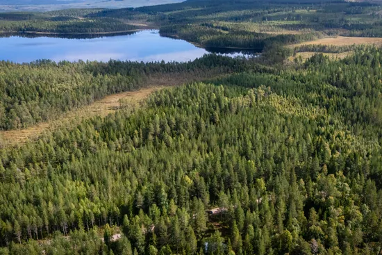Gård/Skog, Ljusdal kårböle 6:1, Ljusdal