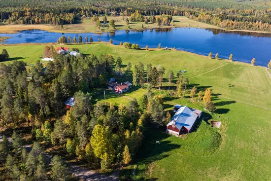 Gård/Skog, Gullsjö 17, Vännäs