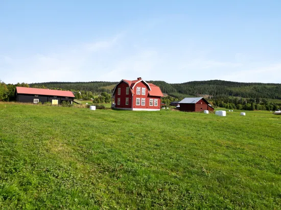 Gård/Skog, Klövsjövägen 19/Bergmansvägen 3, Klövsjö by, Berg