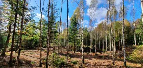 Tomt, Fridhemsvägen 9B, Härryda - Stora Bugärde, Härryda