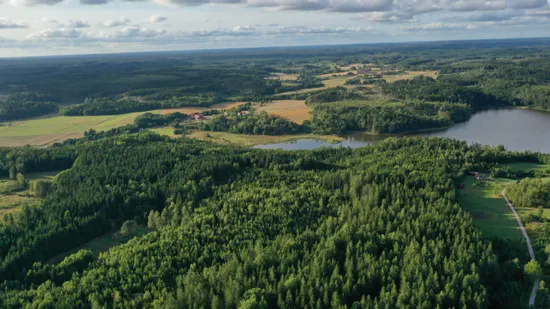 Gård/Skog, Stuveryr 12, Färgelanda
