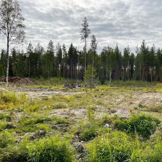 Tomt, Möjlighet till husbygge i barnvänliga och naturnära Kallax!, Kallax, Luleå