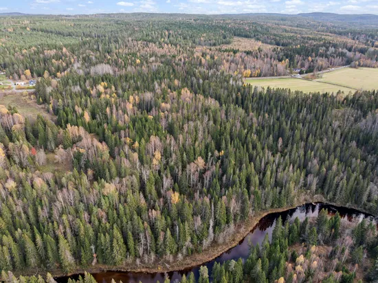 Gård/Skog, Mjällå 522, Ljustorp, Timrå