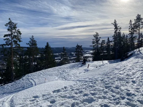 Tomt, Serpentinvägen 4, Järvsö, Öjeberget, Ljusdal