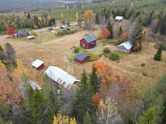 Gård/Skog, Johannisberg 2, Malå