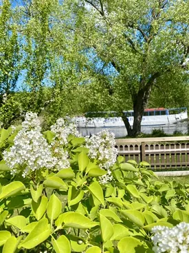 Fritidshus, Morotsvägen 46, Kolonistuga Ådala koloniområde, Johannelund, Linköping