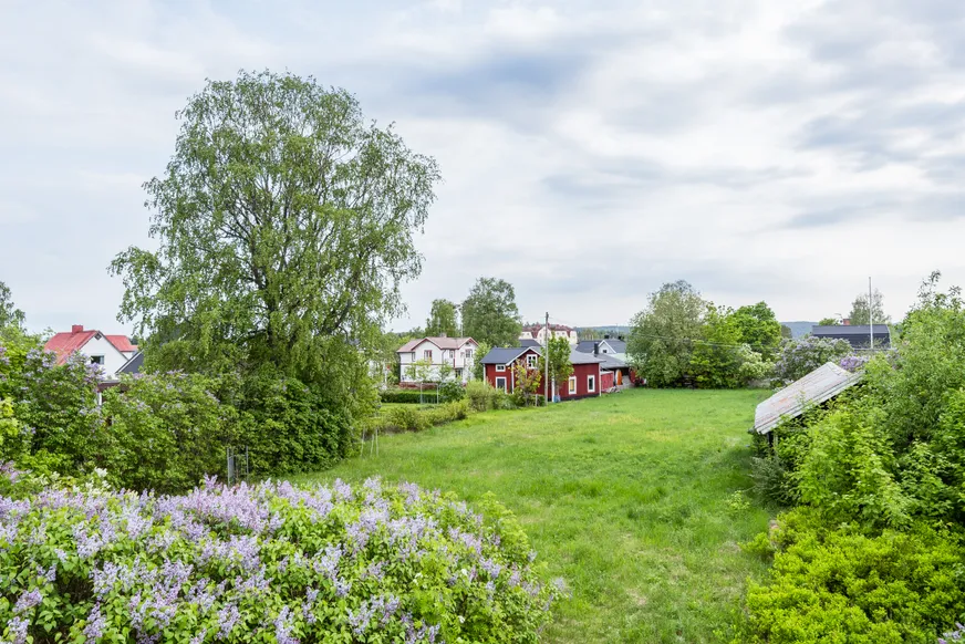 Fullskärm