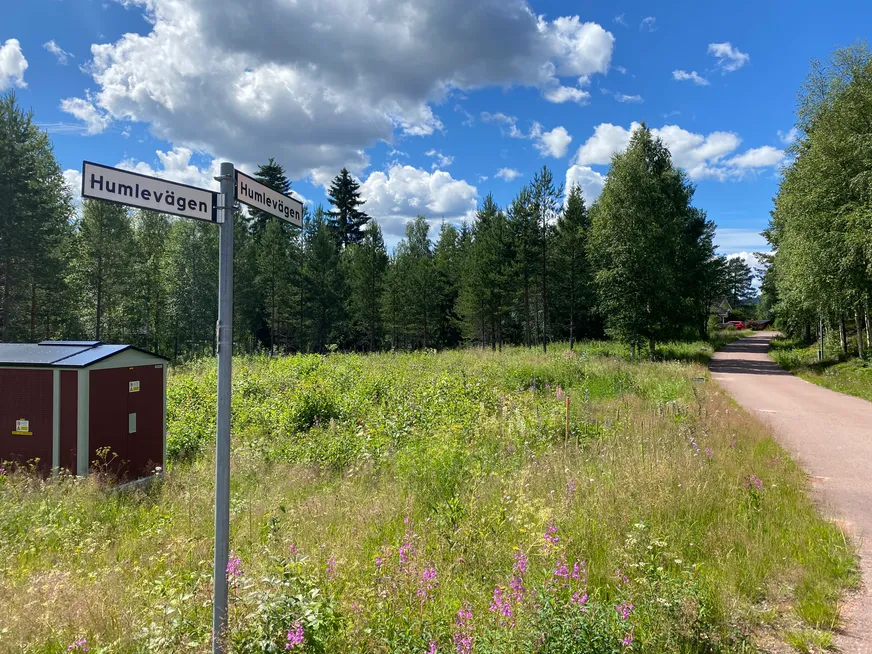 Fullskärm