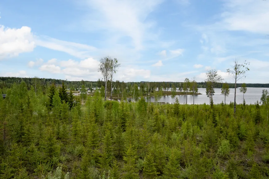 Fullskärm